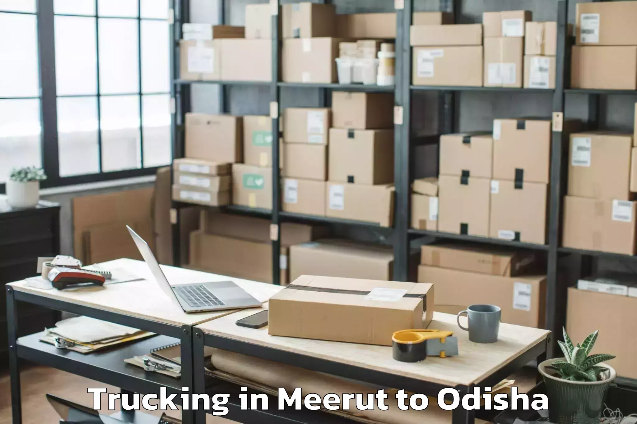 Affordable Meerut to Raikia Trucking